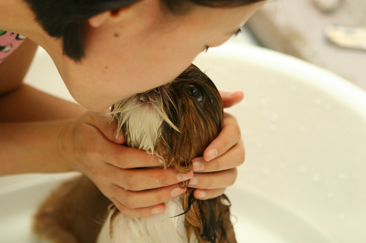 Garść faktów i mitów na temat kąpieli psa